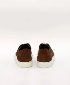 Uomo D'Arienzo Positano - Sneakers in pelle scamosciata marrone da uomo